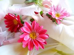 fleurs-gw04.jpg