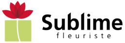 logo21.png
