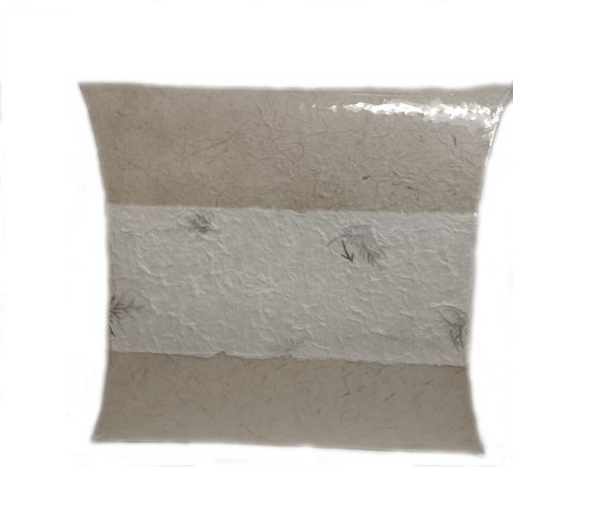 Coussin-1.jpg
