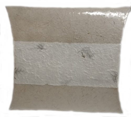 Coussin-e1504817001478.jpg