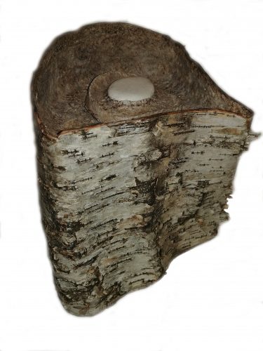 Urnes-biodégradables-e1504797408703.jpg