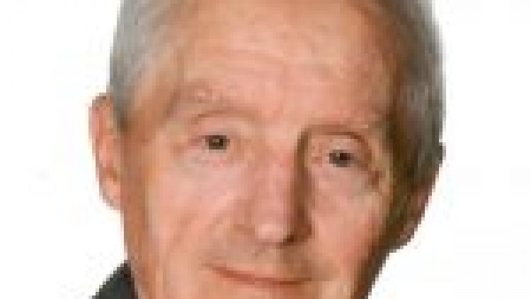 M. Lionel Lamoureux