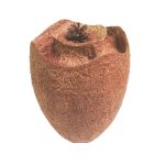 Bio-1-e1532096207176.jpg