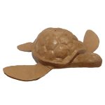 Tortue-500--e1587397550225.jpg