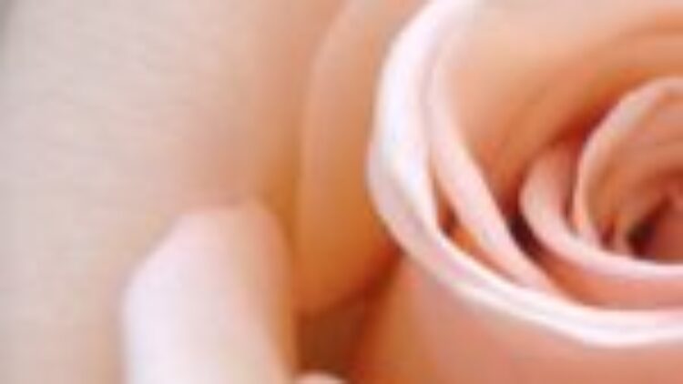 Mme Rachel Auclair 1940-2021