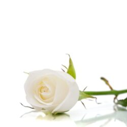 M. Adrien Ouellet 1942-2024