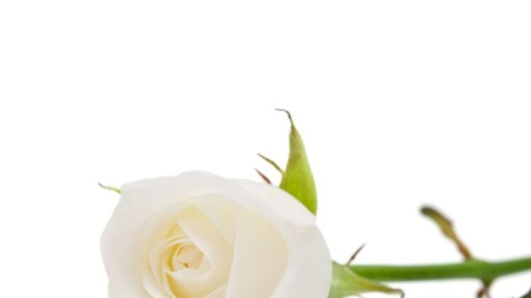 M. Clément Dupuis 1941-2025